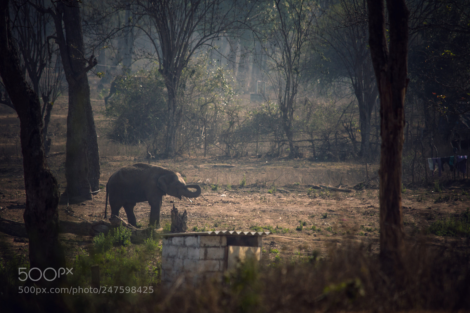 Nikon D3200 sample photo. Scape photography