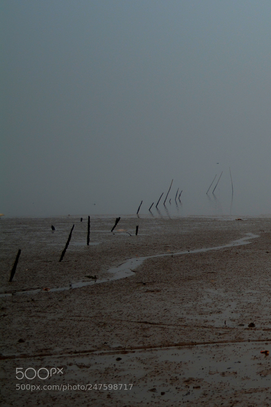 Nikon D5200 sample photo. Sea beach photography