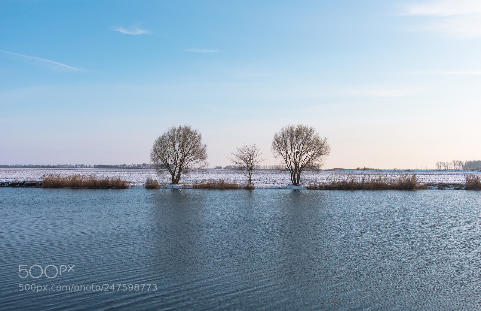 Nikon D3400 sample photo. Winter trinity photography