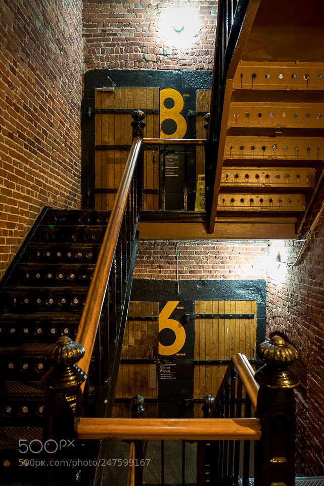 Sony a7R sample photo. Level 7 photography