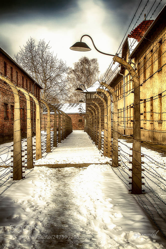 Canon EOS 7D sample photo. Pasadizo electrificado de auschwitz photography