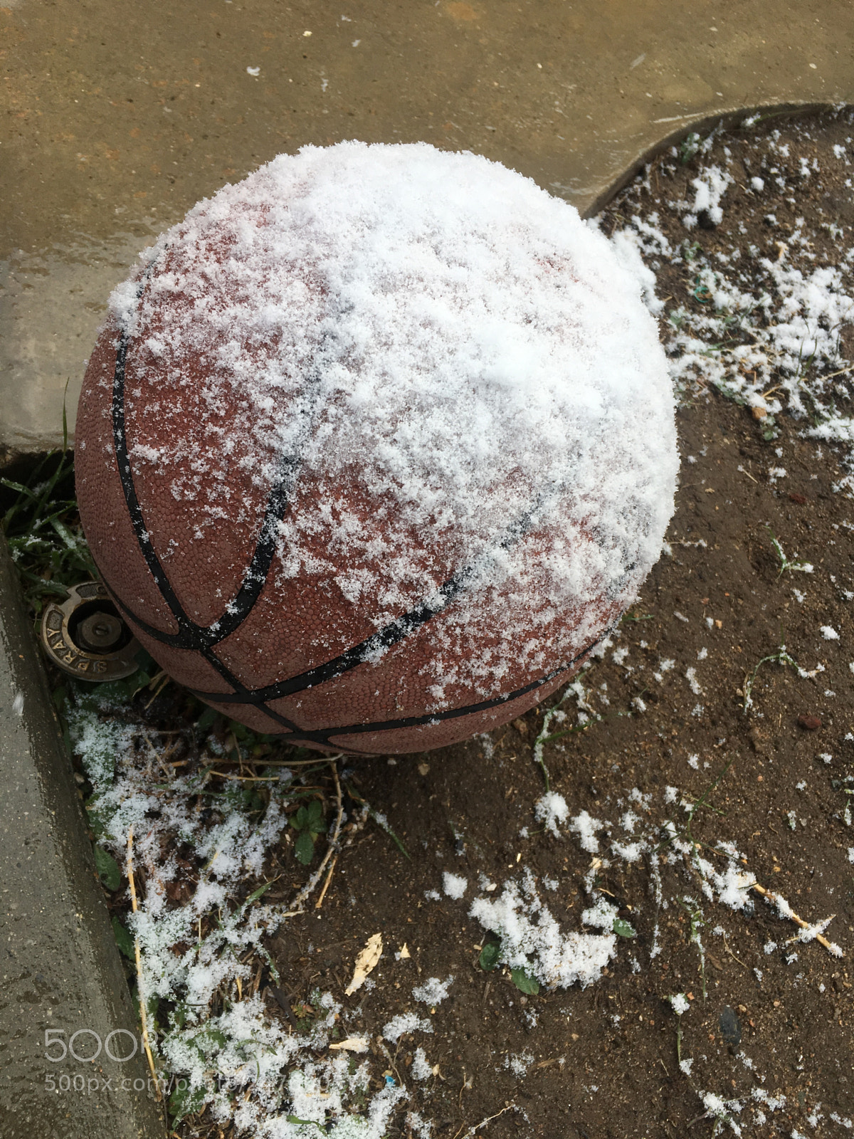 Apple iPhone 6s sample photo. Snowball photography