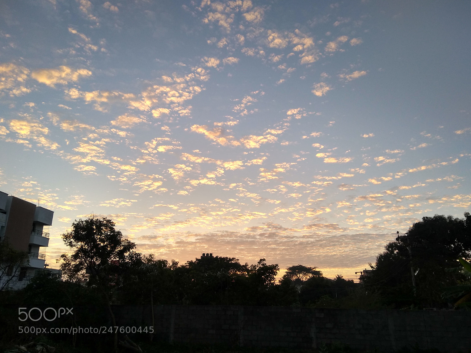 Motorola Moto G (5S) Plus sample photo. Untitled photography