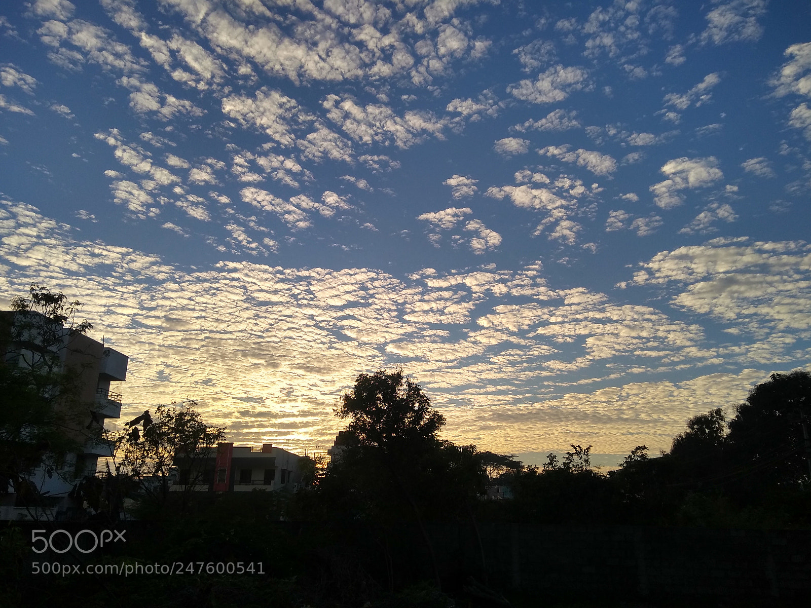 Motorola Moto G (5S) Plus sample photo. Untitled photography