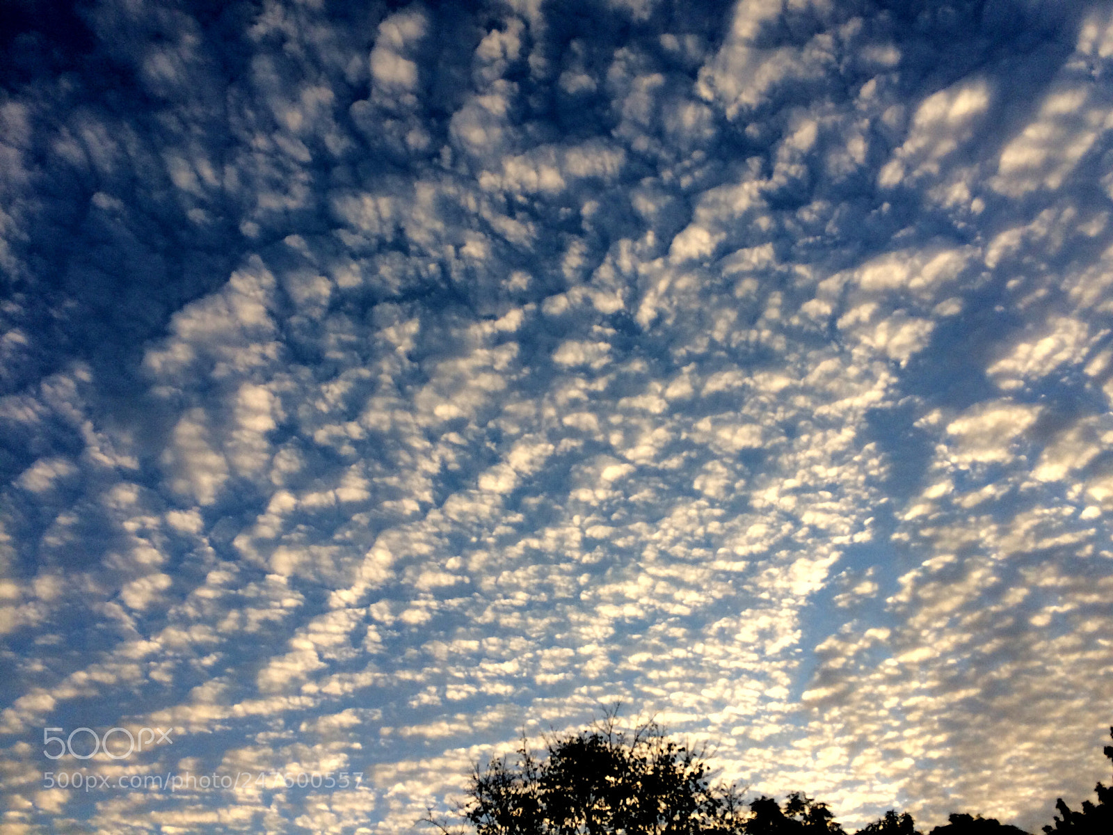Apple iPhone 5s sample photo. Today s evening sky photography