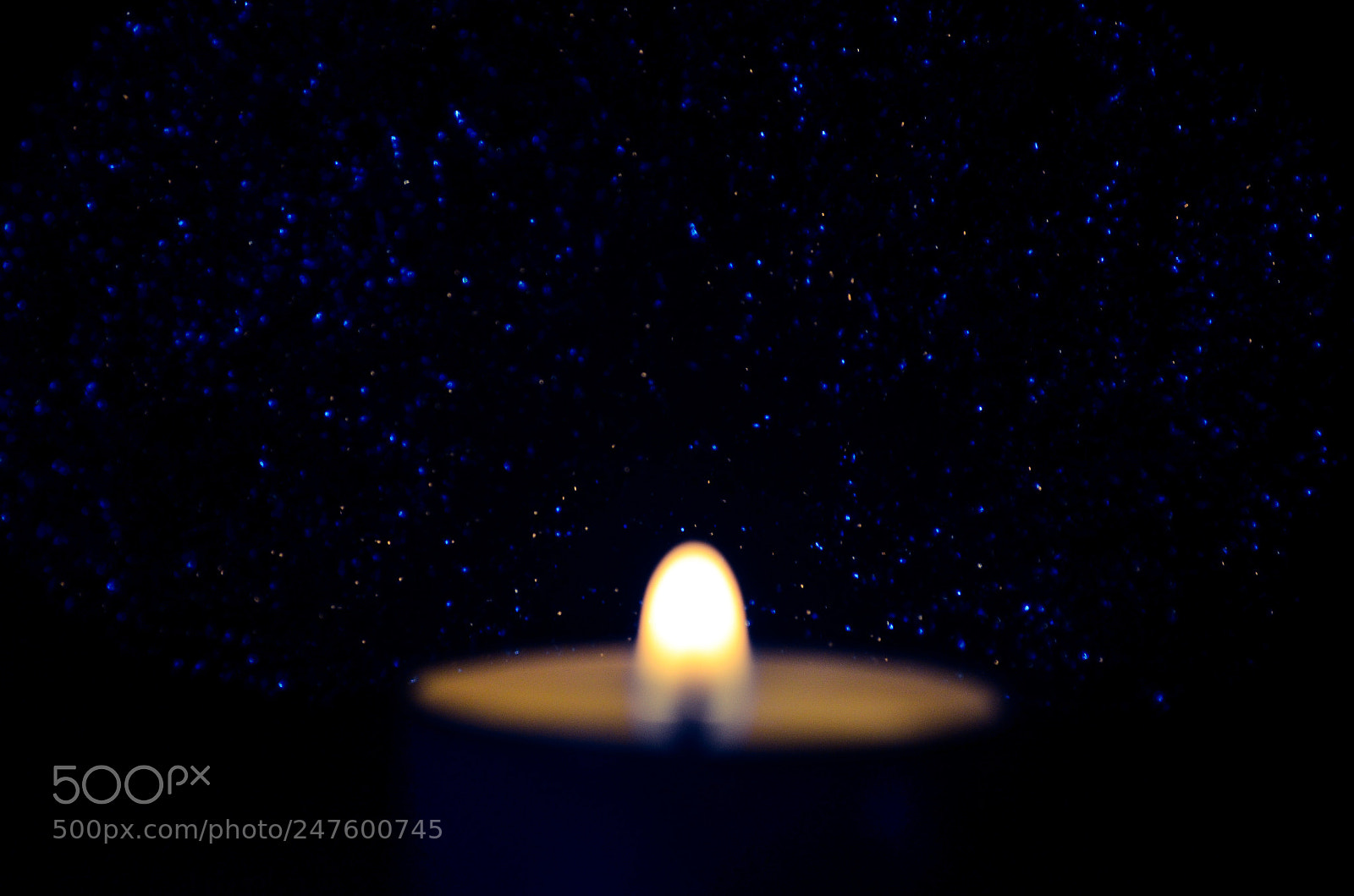 Nikon D5100 sample photo. Untitled photography