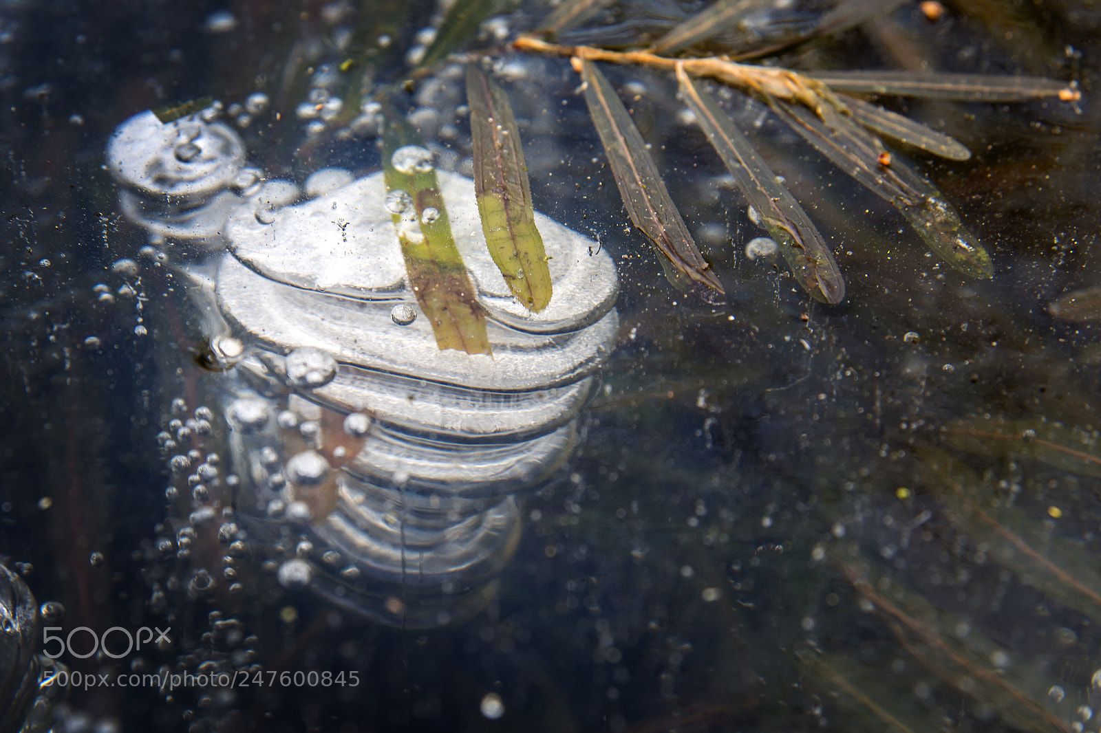 Nikon D800 sample photo. Untitled photography
