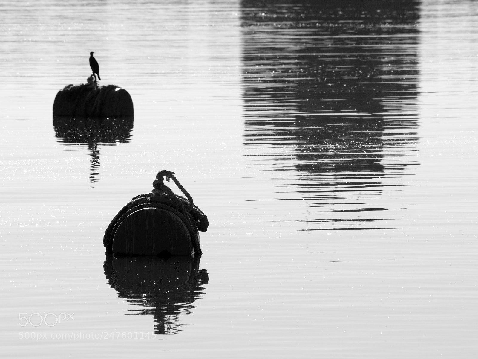 Nikon D300 sample photo. Buoy abstract photography