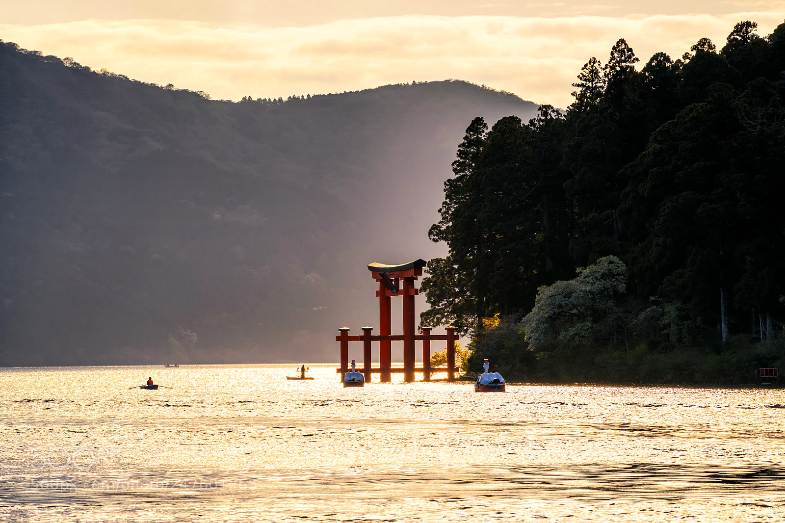 Nikon D810 sample photo. Rays through hakone torii photography