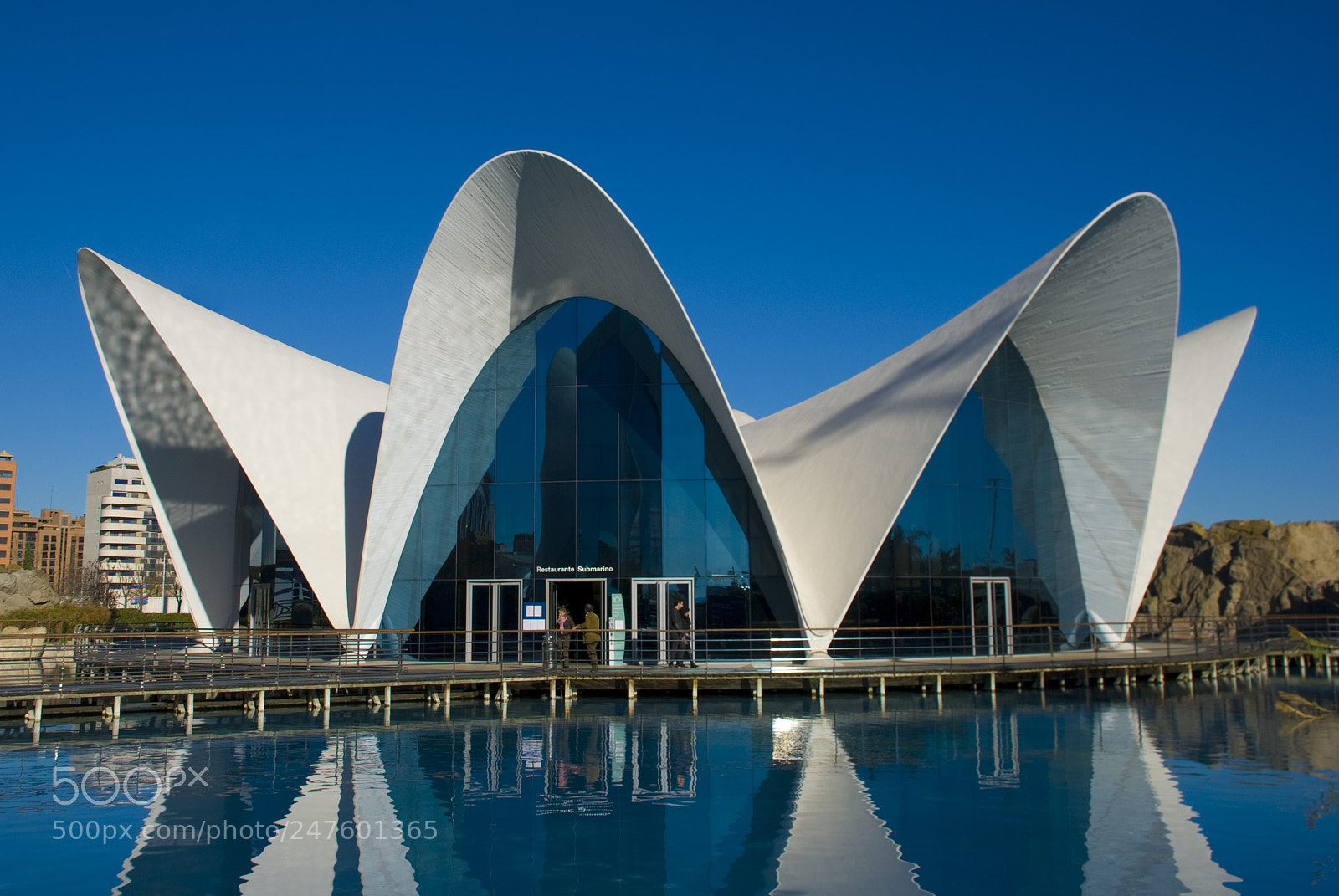 Nikon D80 sample photo. Oceanographic i photography