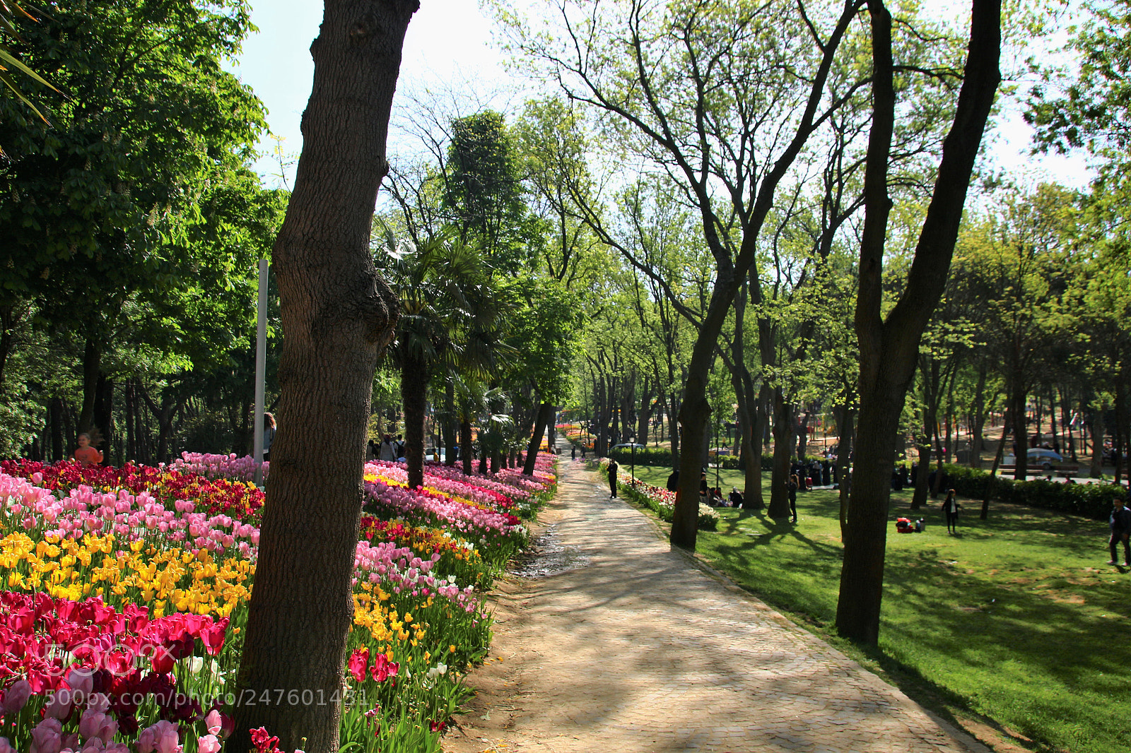 Canon EOS 100D (EOS Rebel SL1 / EOS Kiss X7) sample photo. Spring...................... photography