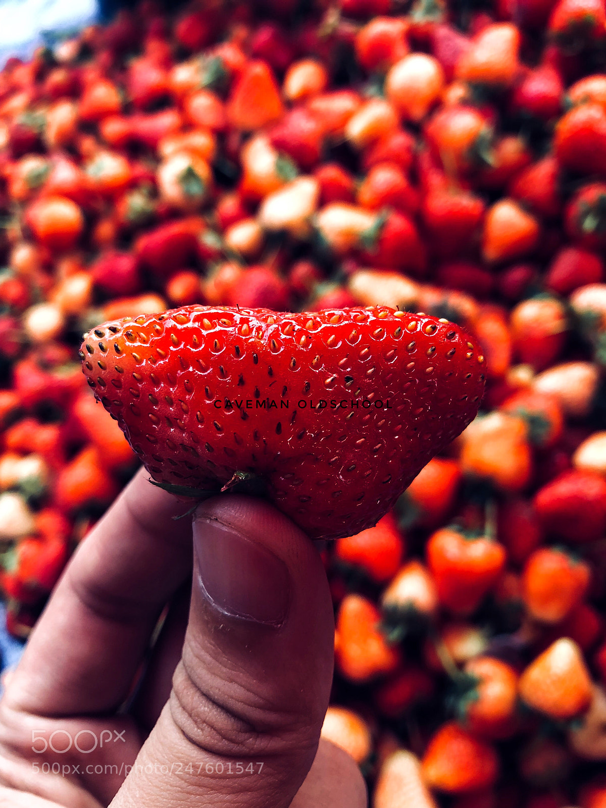 Apple iPhone 8 Plus sample photo. Strawberry photography