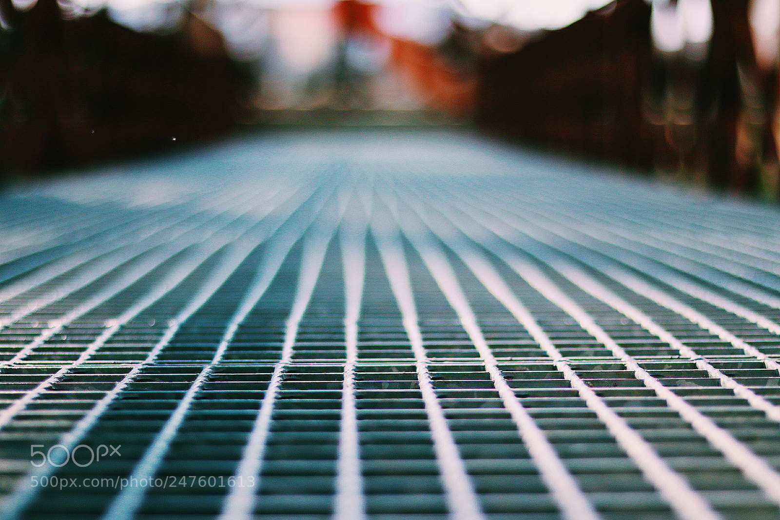 Canon EOS 77D (EOS 9000D / EOS 770D) sample photo. Geometry 1 photography