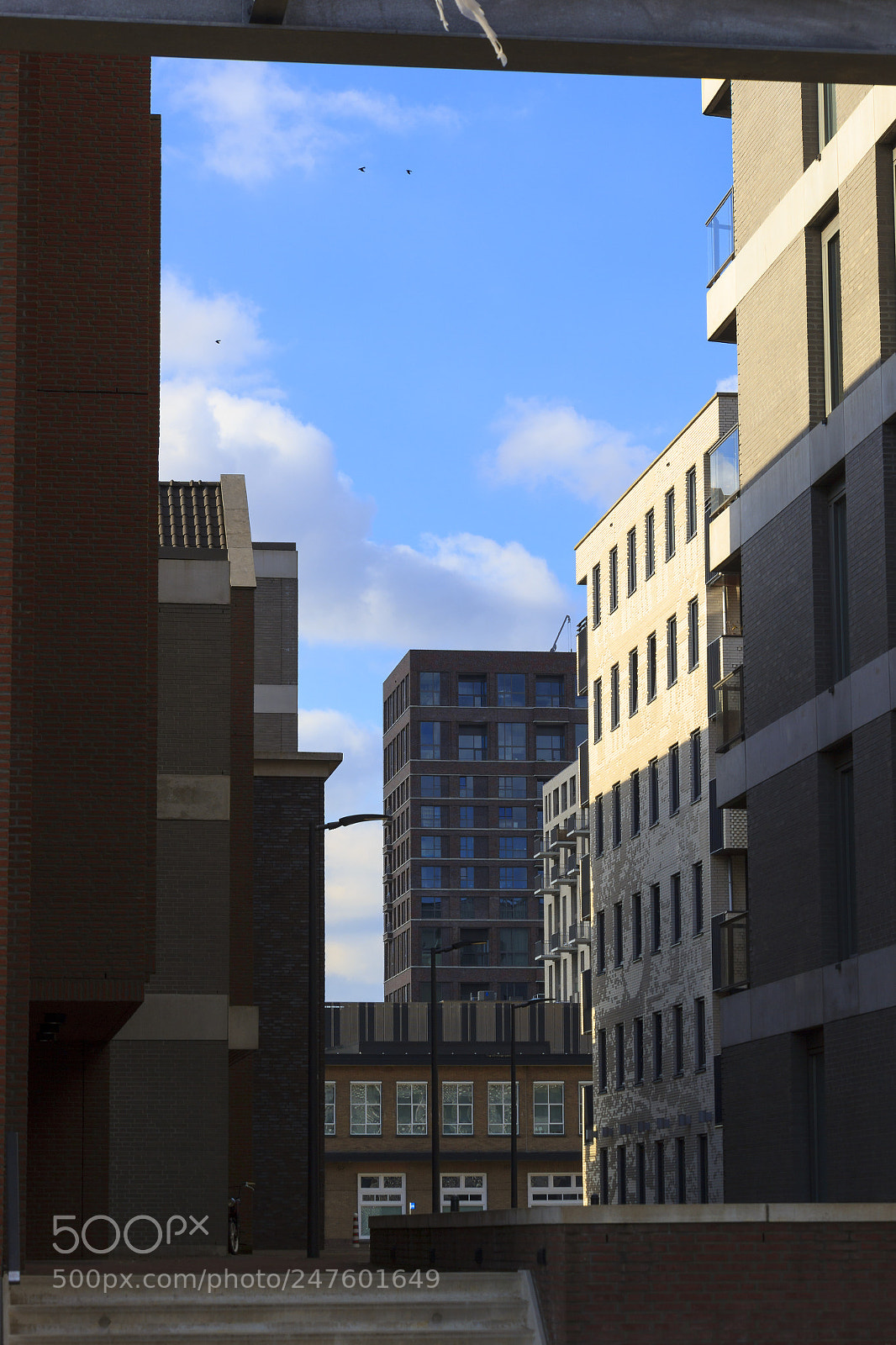 Canon EOS 550D (EOS Rebel T2i / EOS Kiss X4) sample photo. Blue sky in a photography