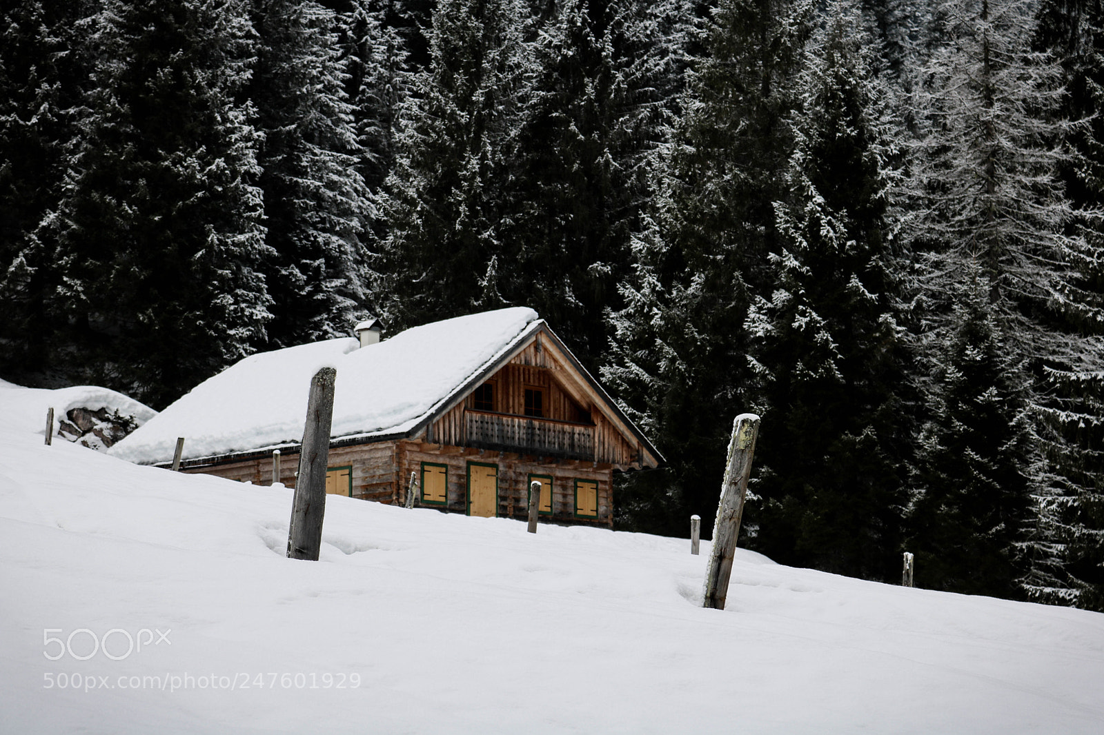Canon EOS 750D (EOS Rebel T6i / EOS Kiss X8i) sample photo. Eingeschneit... photography