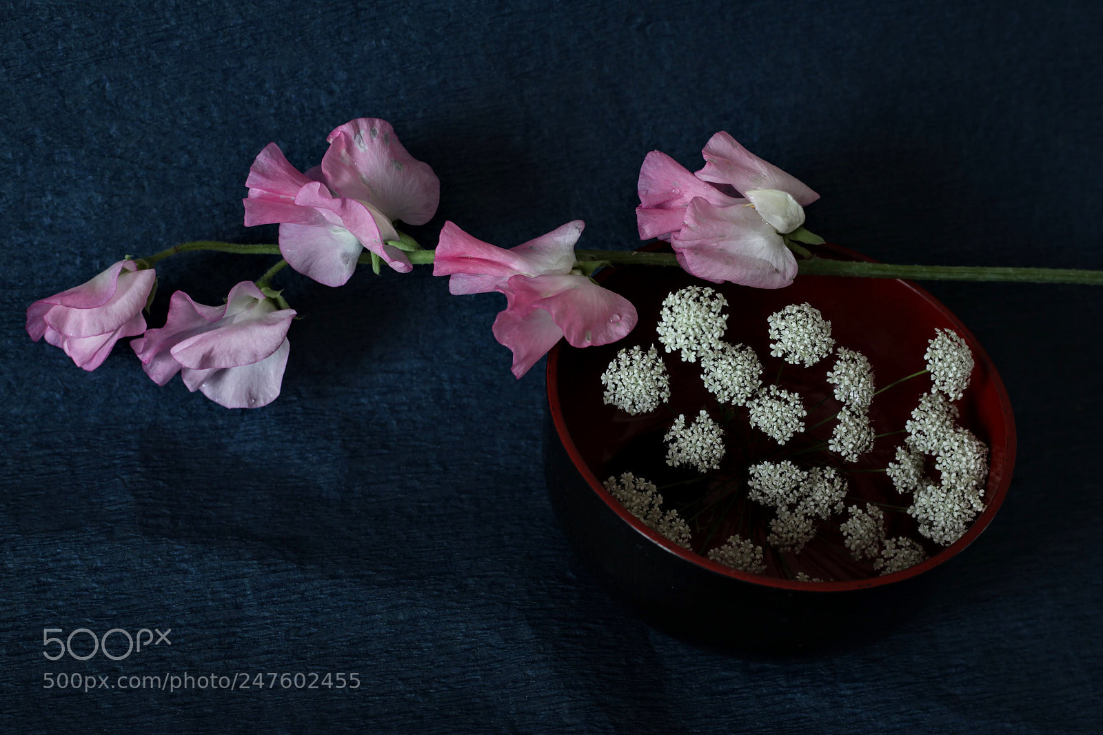 Canon EOS 5D Mark II sample photo. White and pink flowers photography