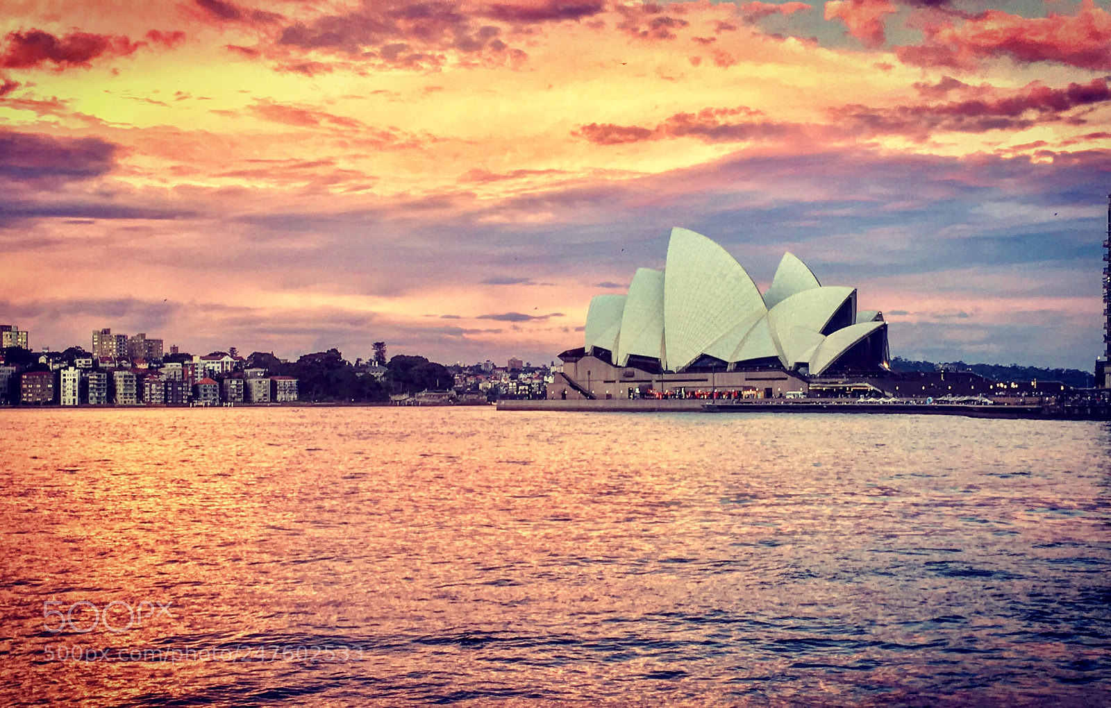 Apple iPhone SE sample photo. Sydney, australia photography