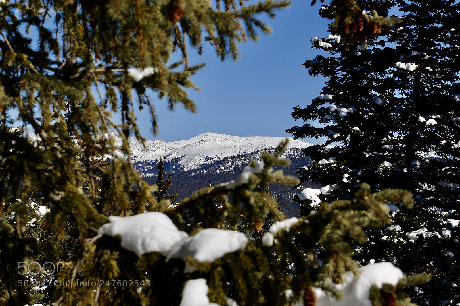 Canon EOS 7D Mark II sample photo. Aspen,co photography