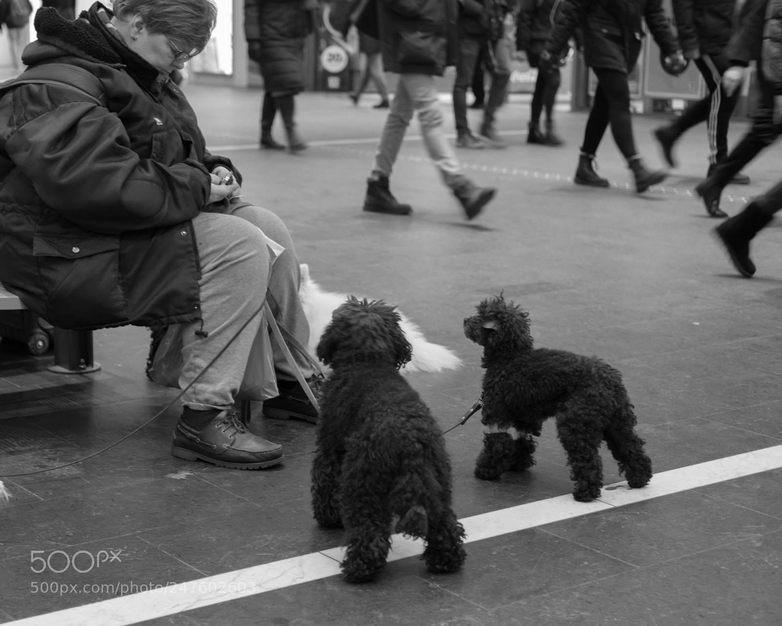 Fujifilm X-T20 sample photo. Untitled photography