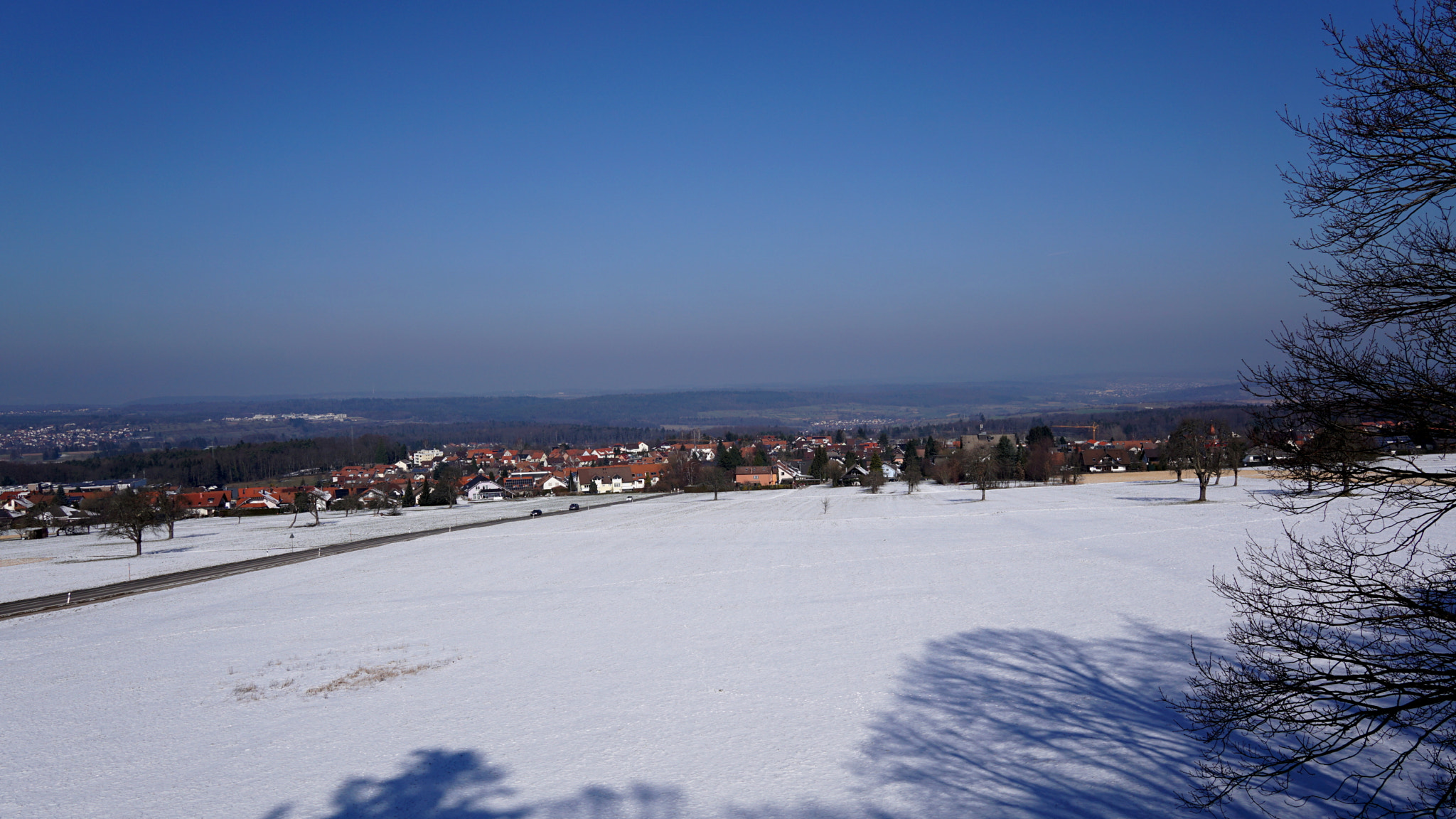 Sony a6000 + Sigma 19mm F2.8 EX DN sample photo. Schwann photography