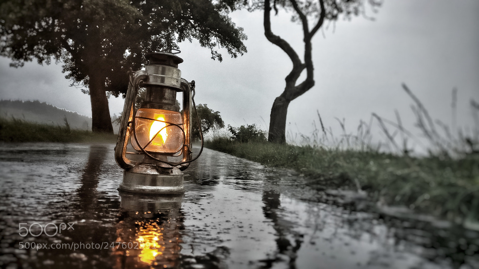 OnePlus A3003 sample photo. A light in the photography