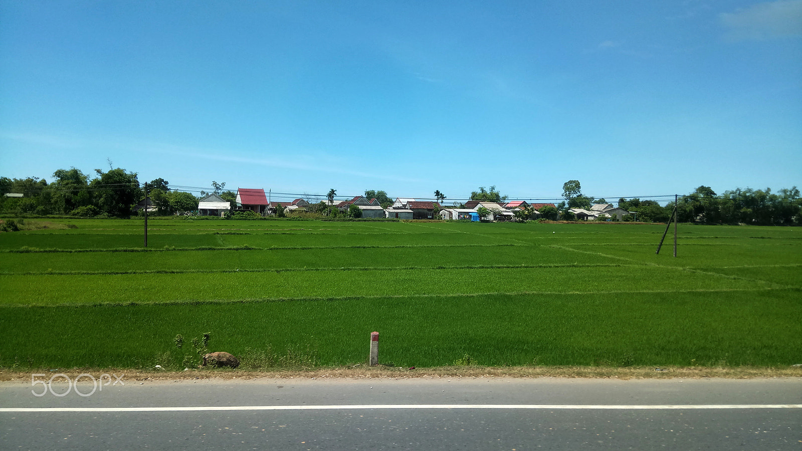 Xiaomi Redmi Pro sample photo. Roadside photography