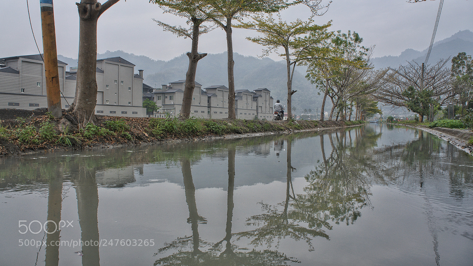 Sony Alpha NEX-5N sample photo. Untitled photography
