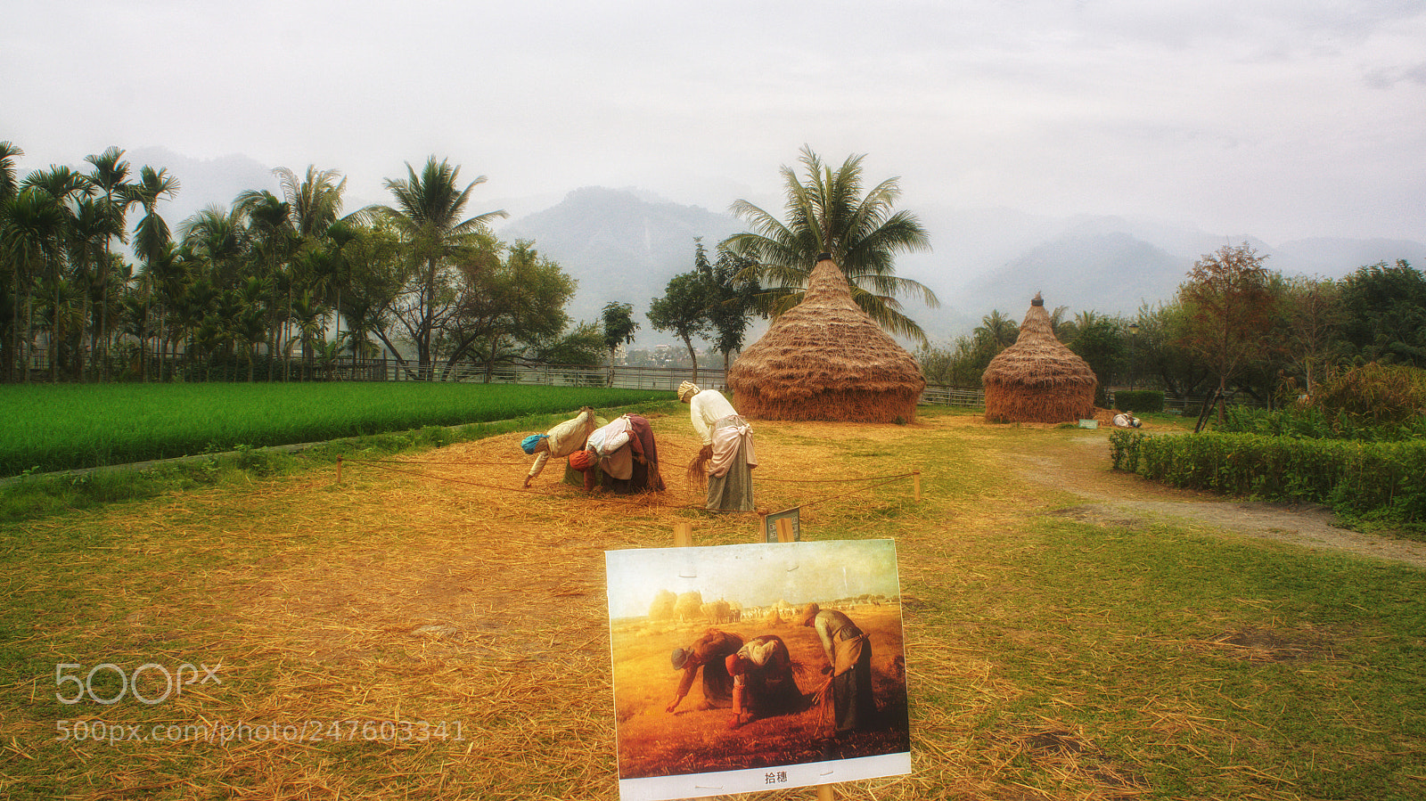 Sony Alpha NEX-5N sample photo. Untitled photography