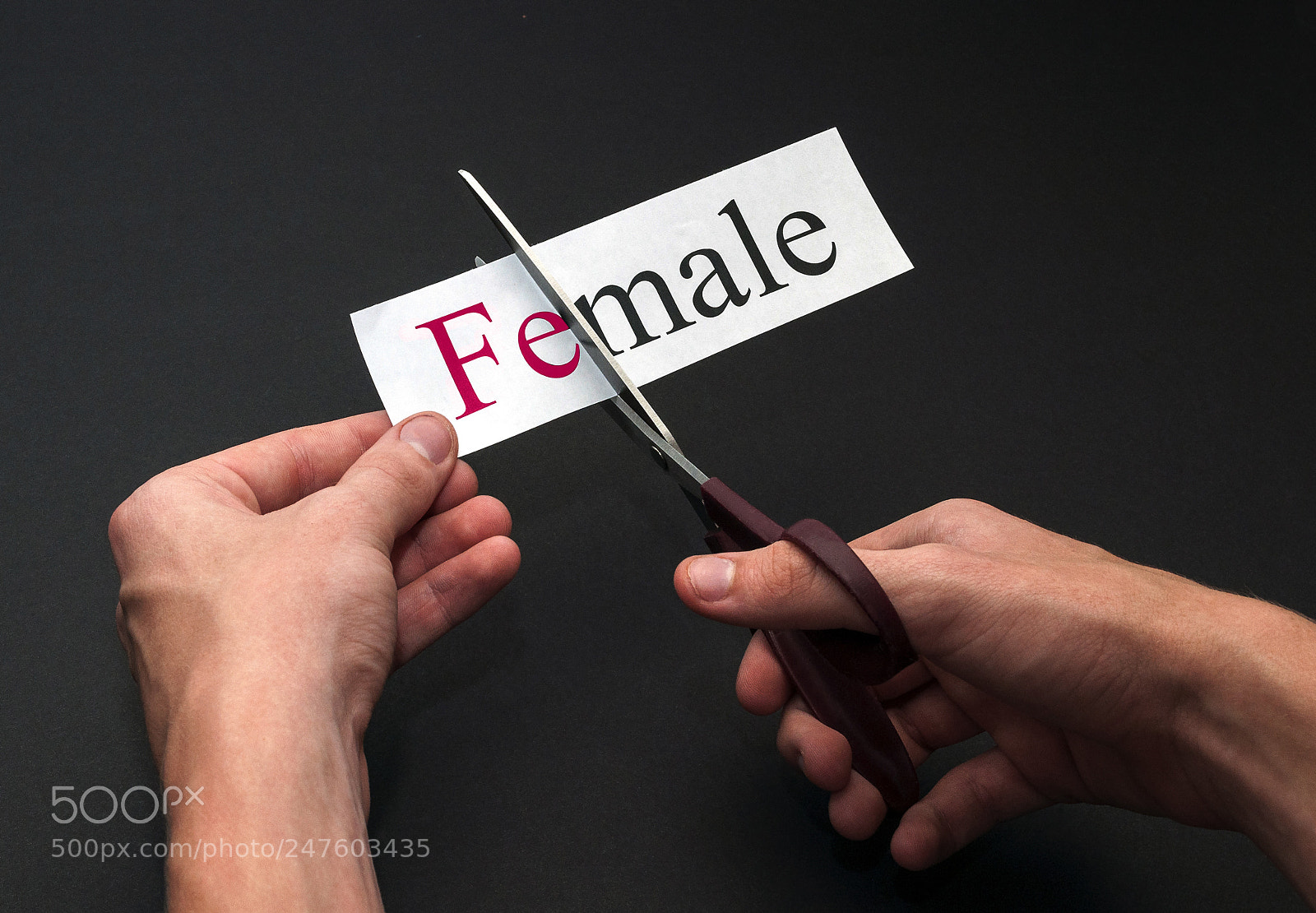 Nikon D5000 sample photo. Female to male gay photography