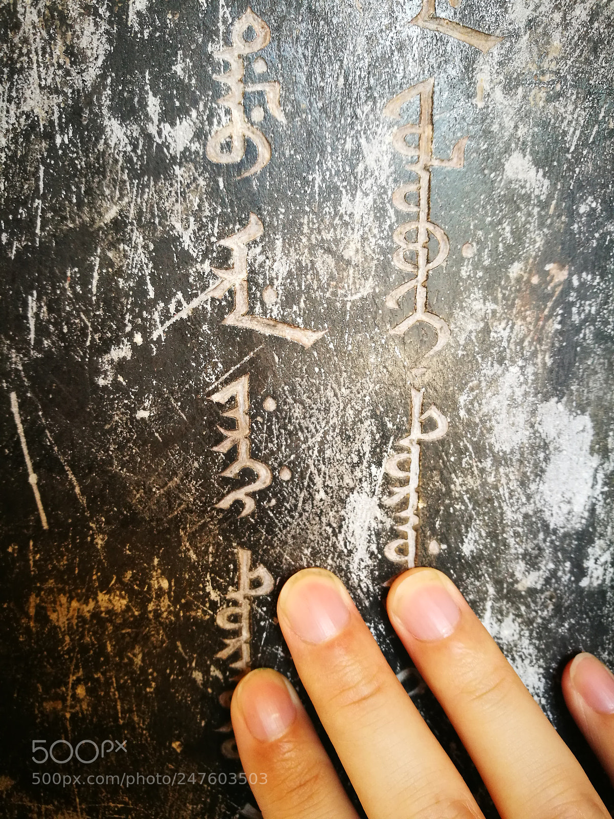 HUAWEI P9 sample photo. Untitled photography