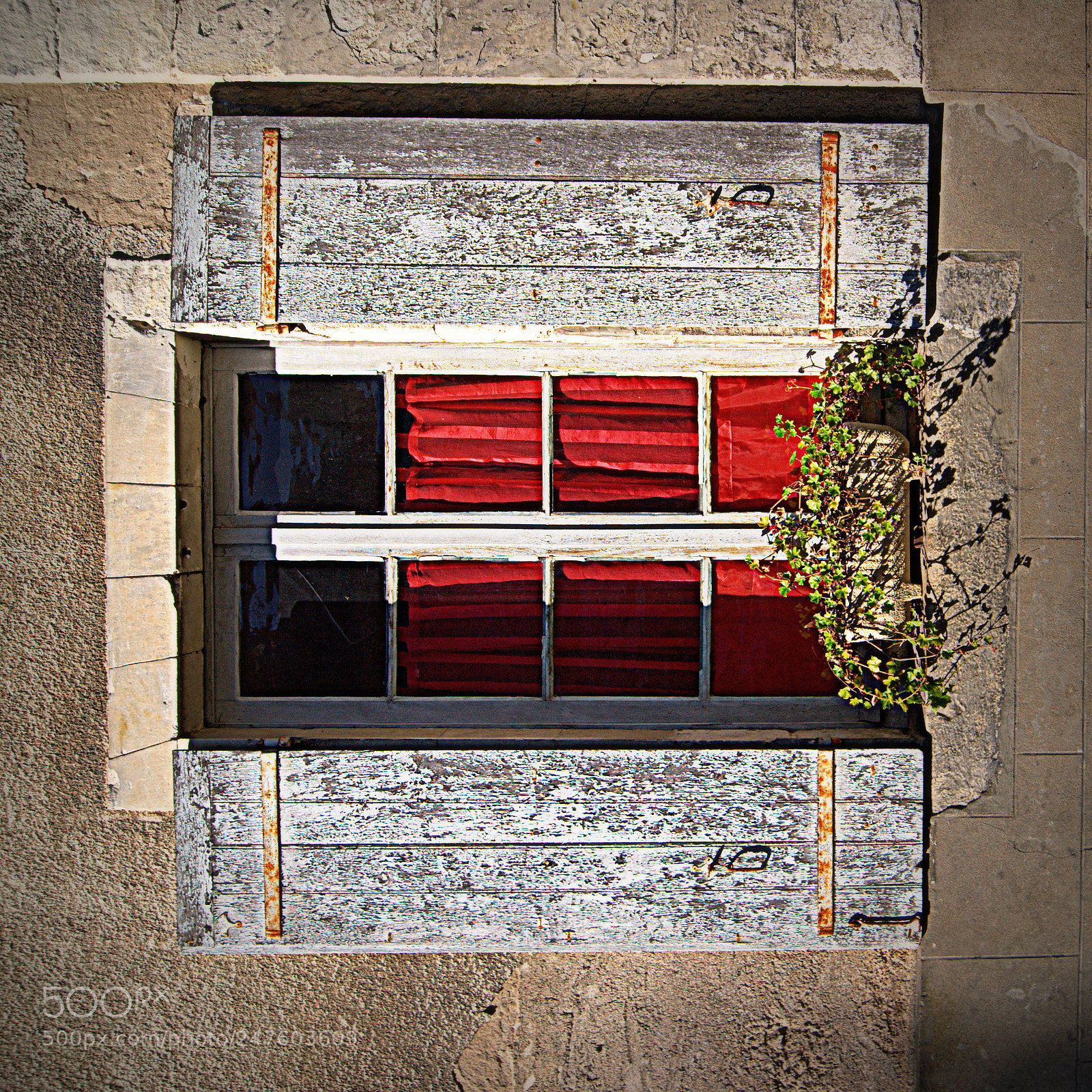 Sony Alpha DSLR-A290 sample photo. Red curtan photography