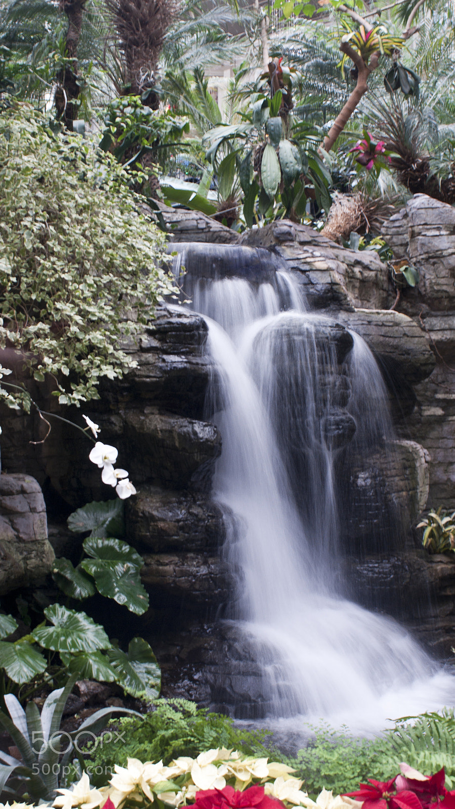 Sony Alpha DSLR-A700 sample photo. The opryland atriums photography