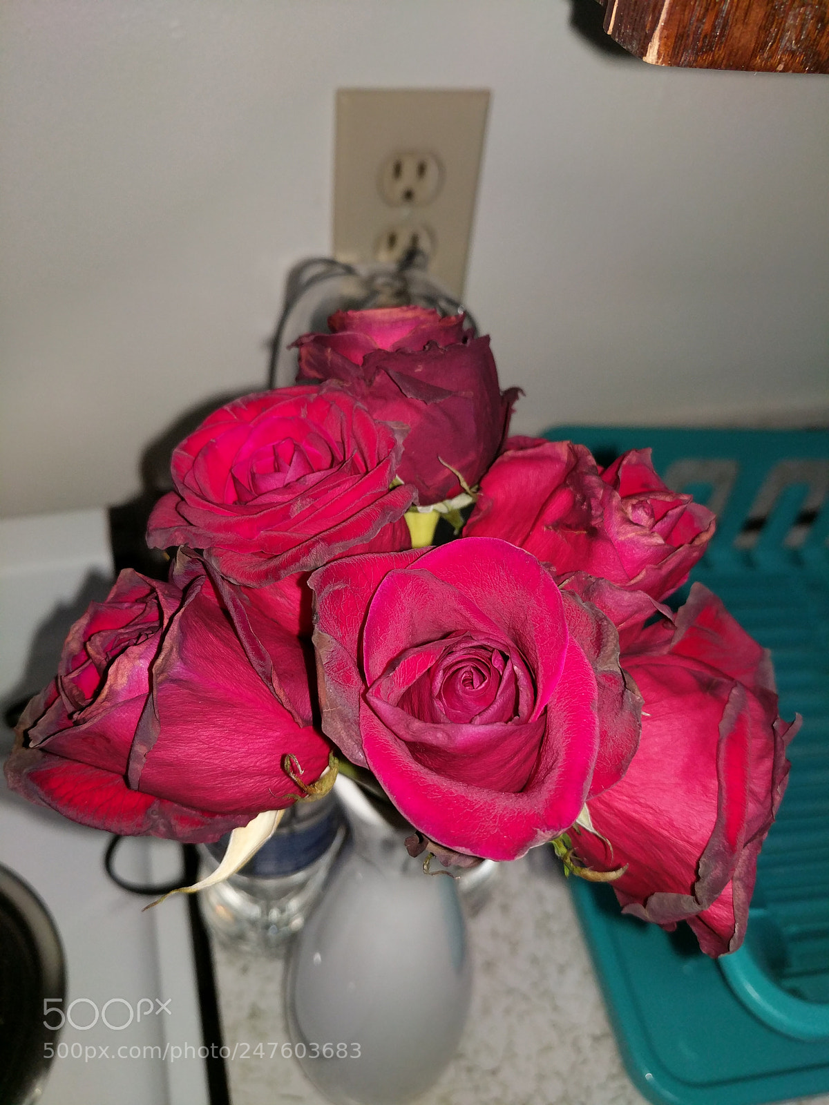 Google Pixel XL sample photo. My valentine photography