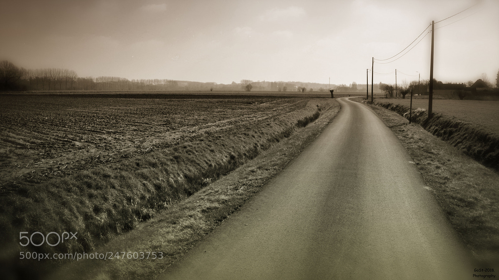 Nikon D5200 sample photo. Country road. photography