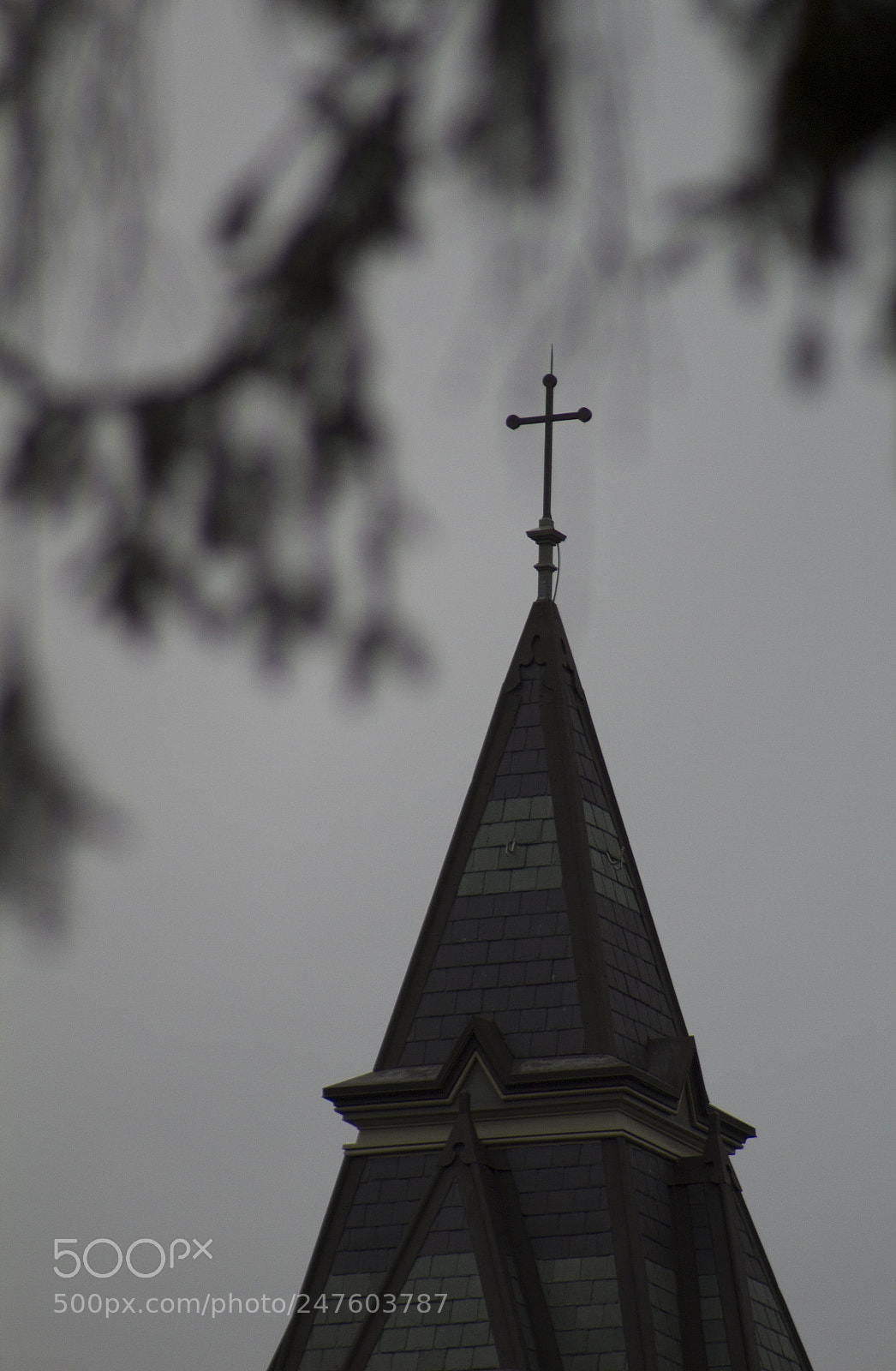 Canon EOS 1200D (EOS Rebel T5 / EOS Kiss X70 / EOS Hi) sample photo. Heavenly black and white 2. photography