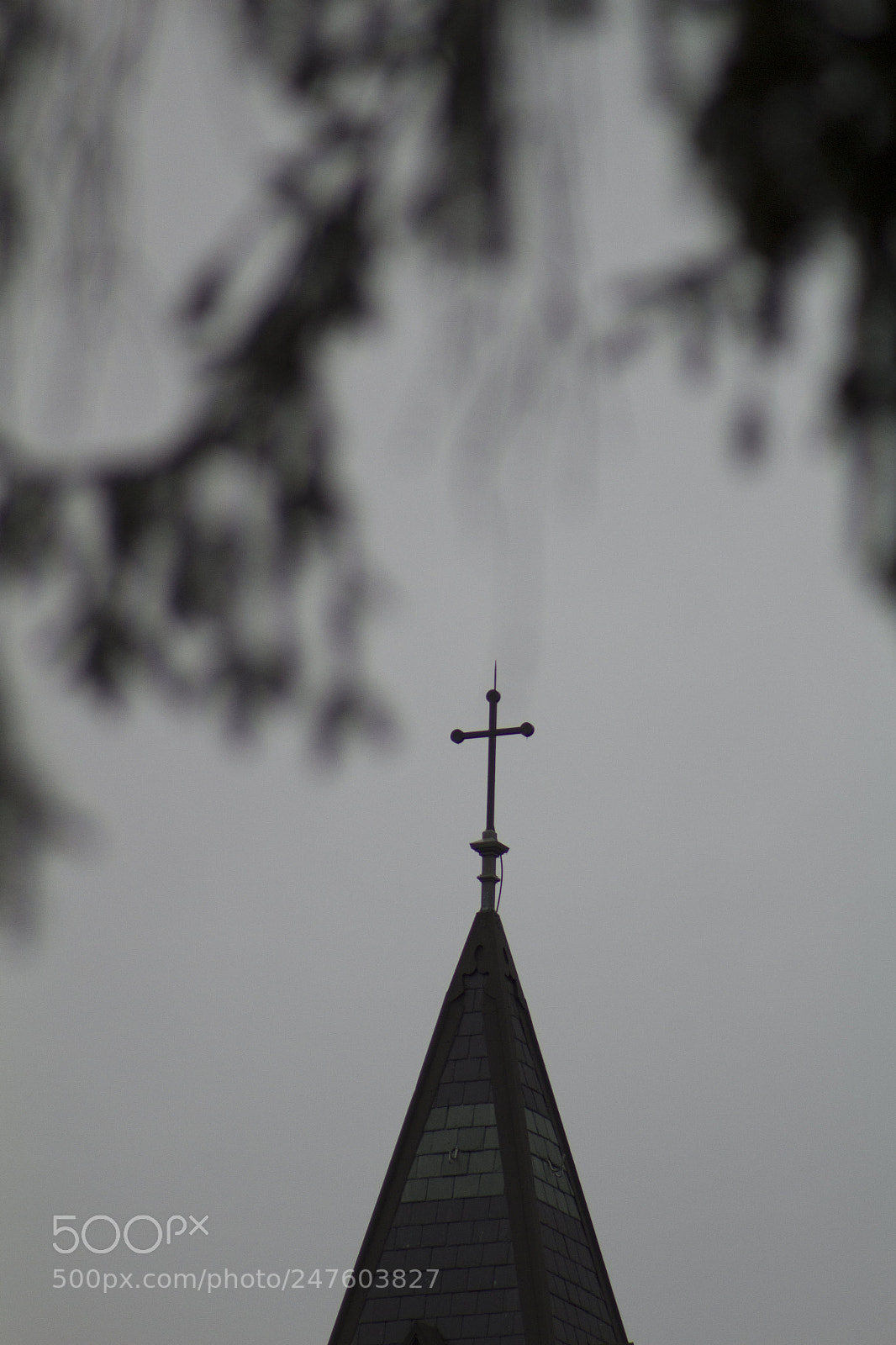 Canon EOS 1200D (EOS Rebel T5 / EOS Kiss X70 / EOS Hi) sample photo. Heavenly black and white. photography