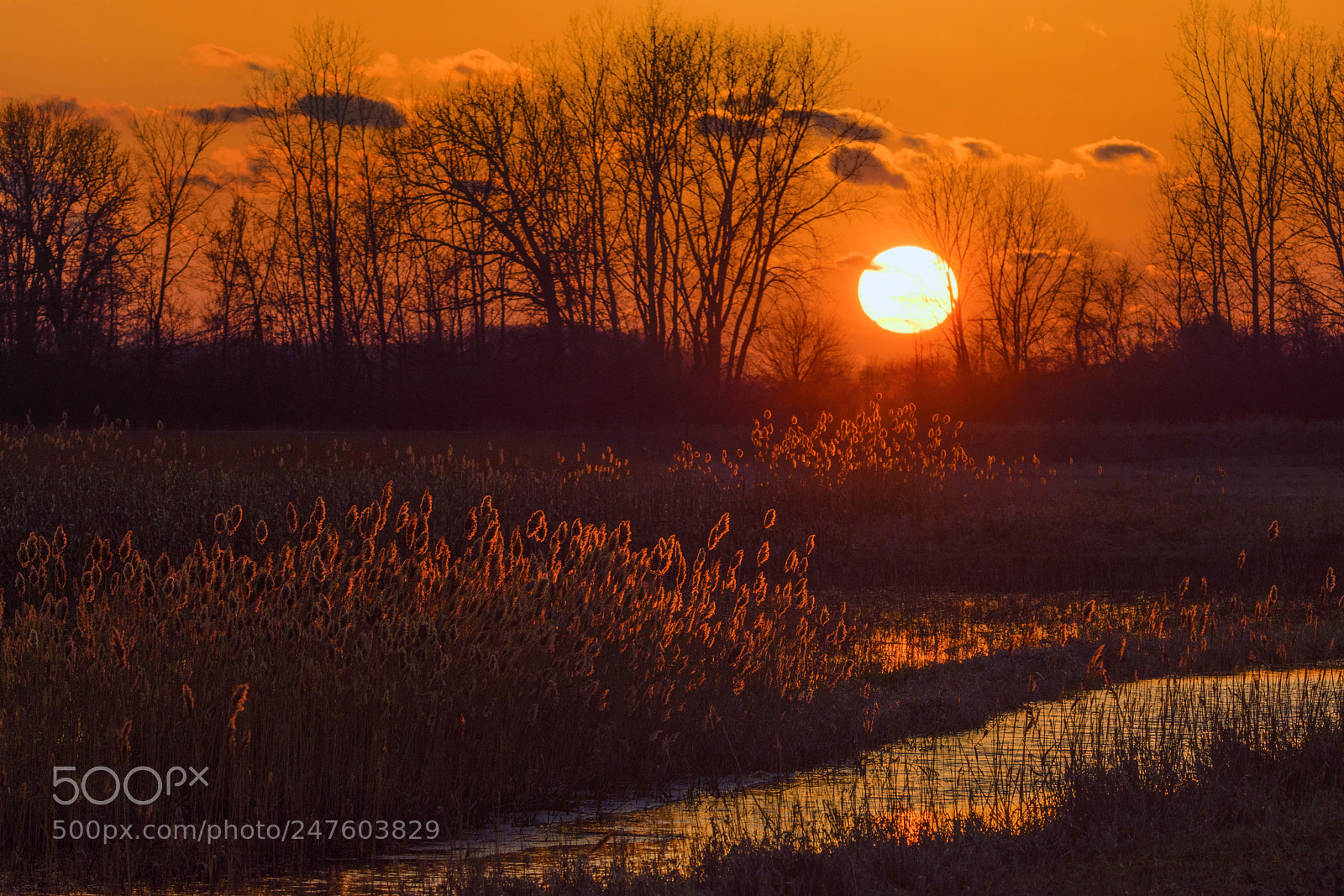 Nikon D7200 sample photo. Winter sunset photography
