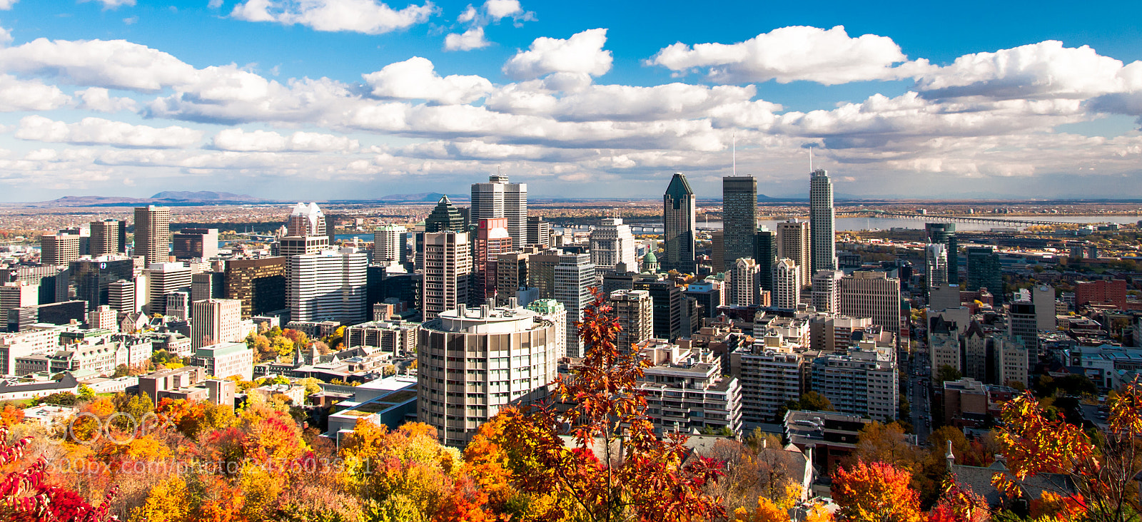 Nikon D300 sample photo. Mont royal autumn photography