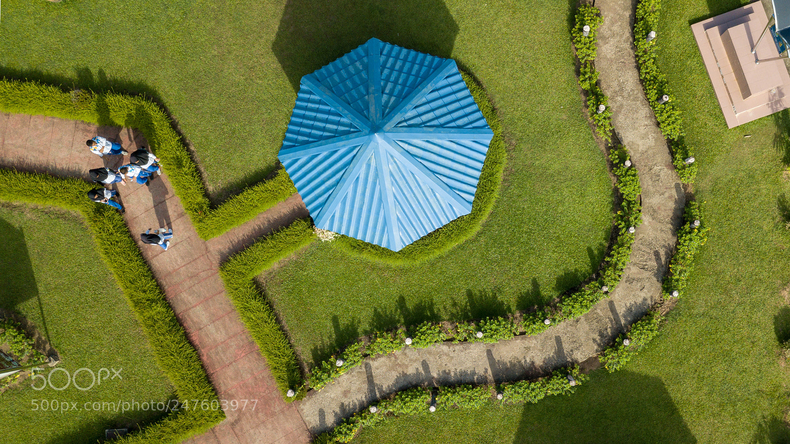 DJI FC220 sample photo. Walking with friends photography