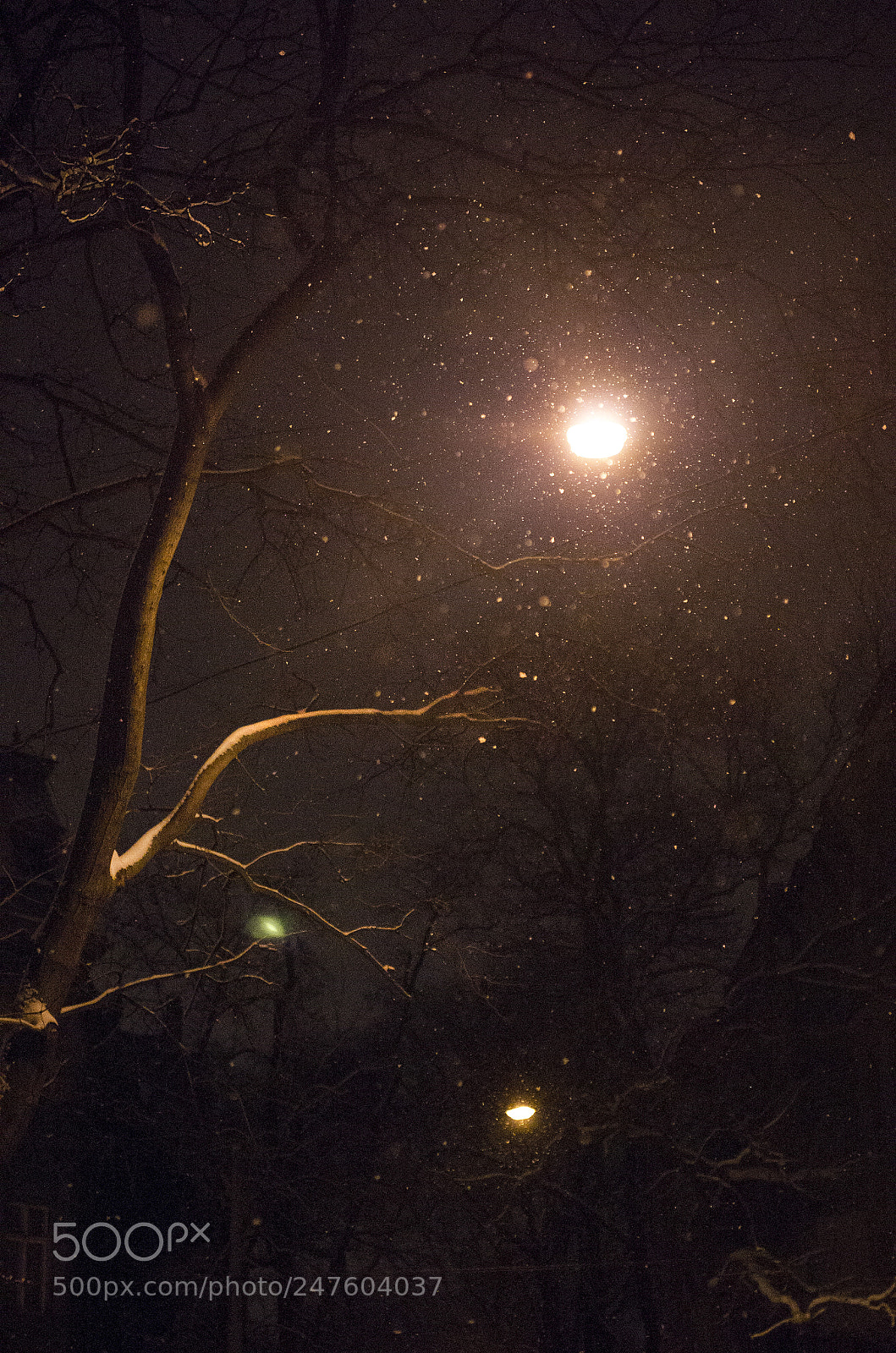 Pentax K-5 sample photo. ..... photography