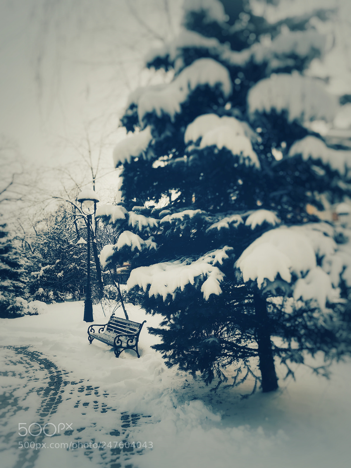 HUAWEI PRA-LX1 sample photo. Late, when the snow photography