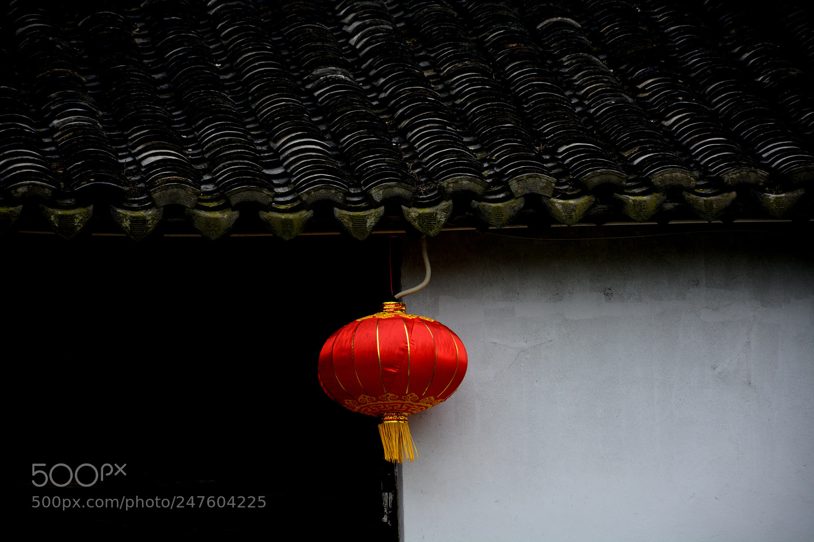 Nikon D7100 sample photo. Untitled photography
