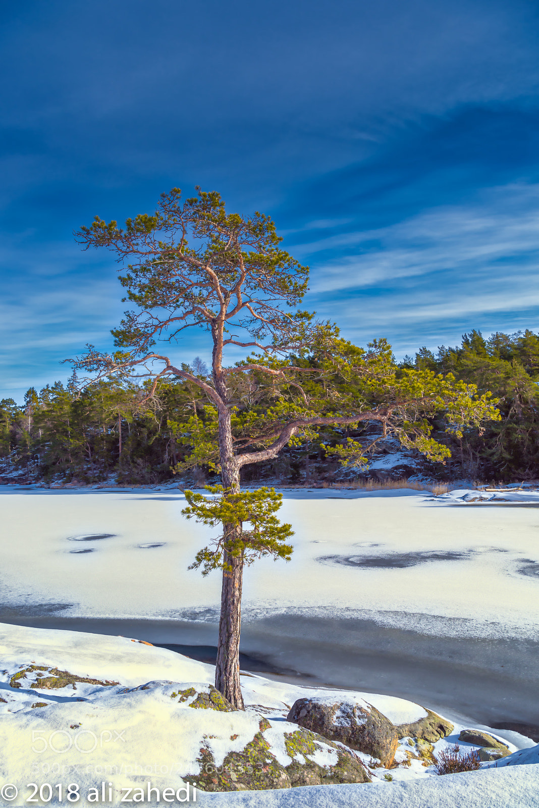 Nikon D810 sample photo. S:tw photography