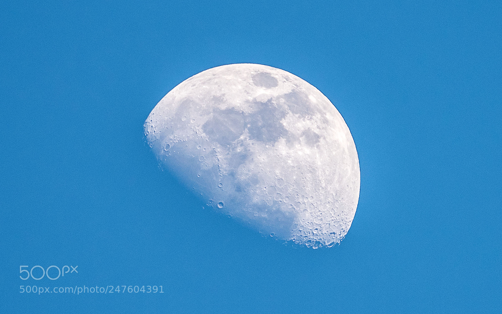 Nikon D810 sample photo. Daytime moon photography