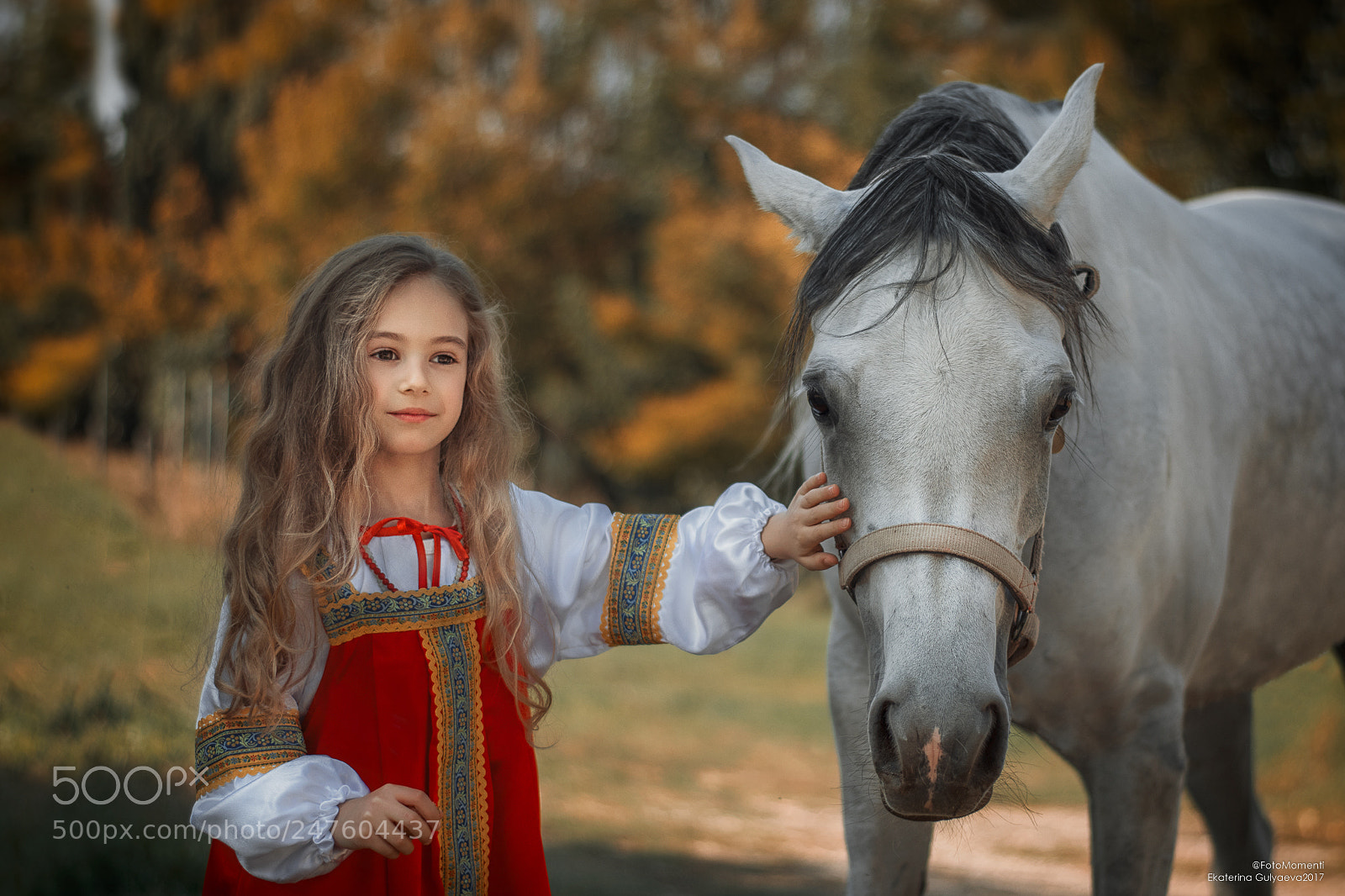 Nikon D5500 sample photo. Momento d'autunno photography