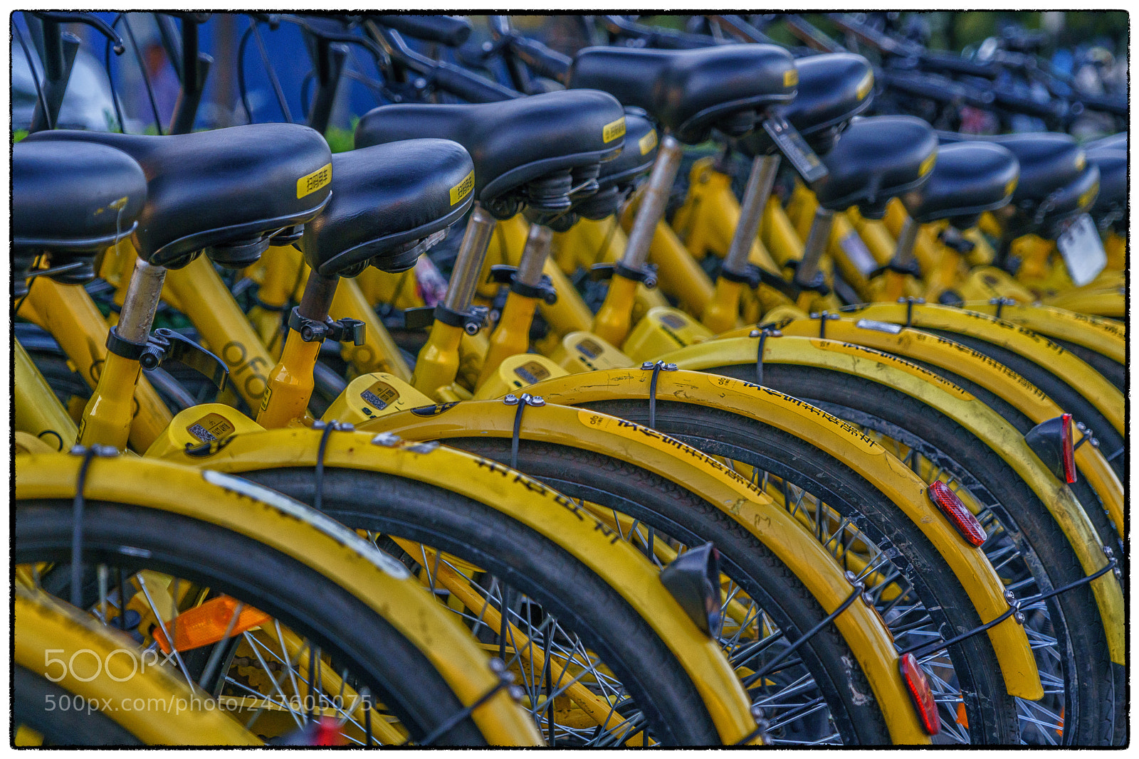 Sony a7R II sample photo. Yellow bikes photography