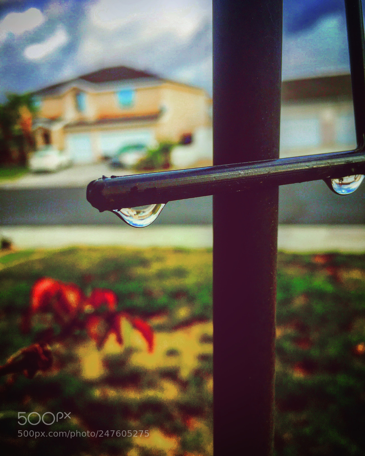 Apple iPhone 6s Plus sample photo. Rain drops after a photography