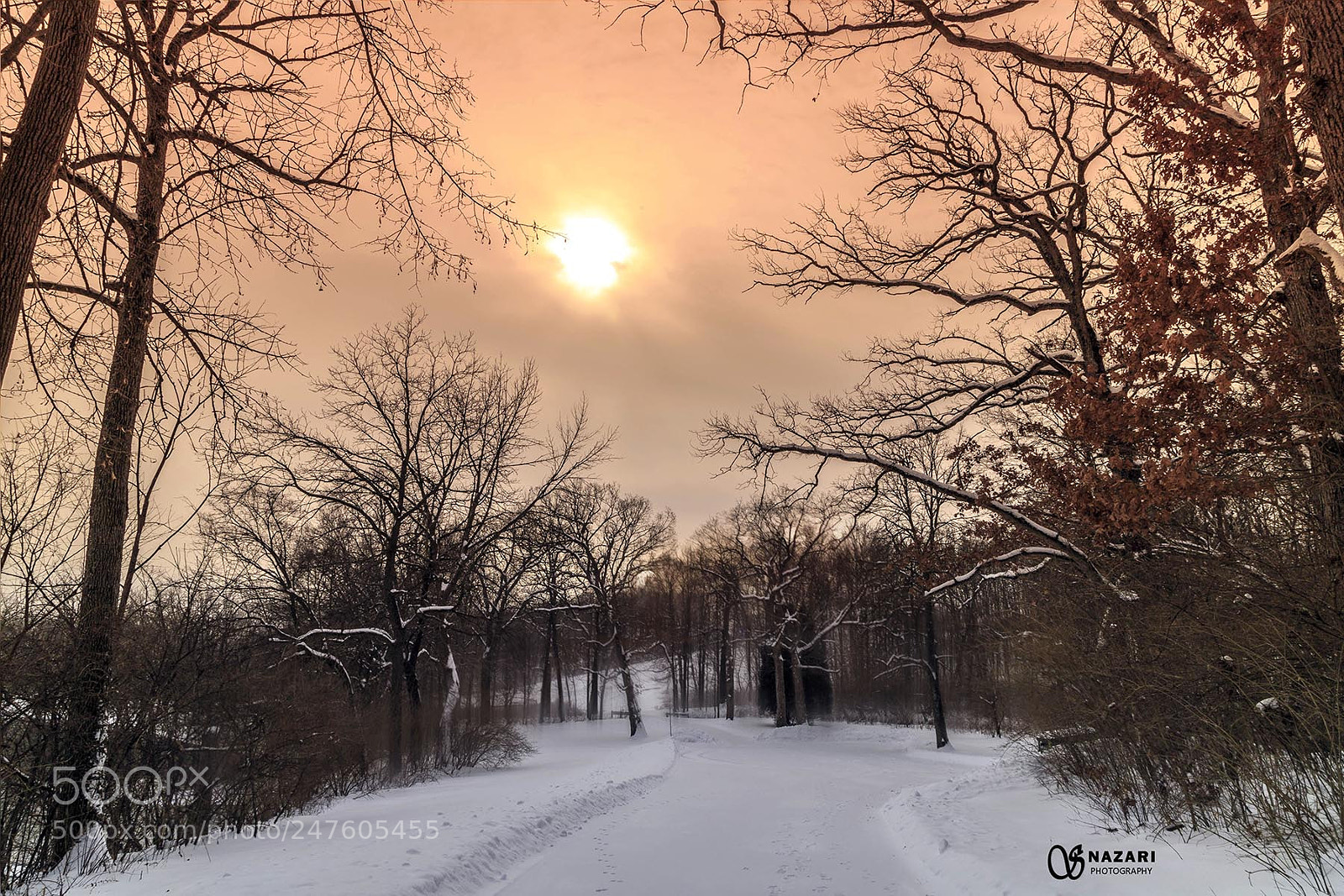 Canon EOS 6D Mark II sample photo. Winter time photography