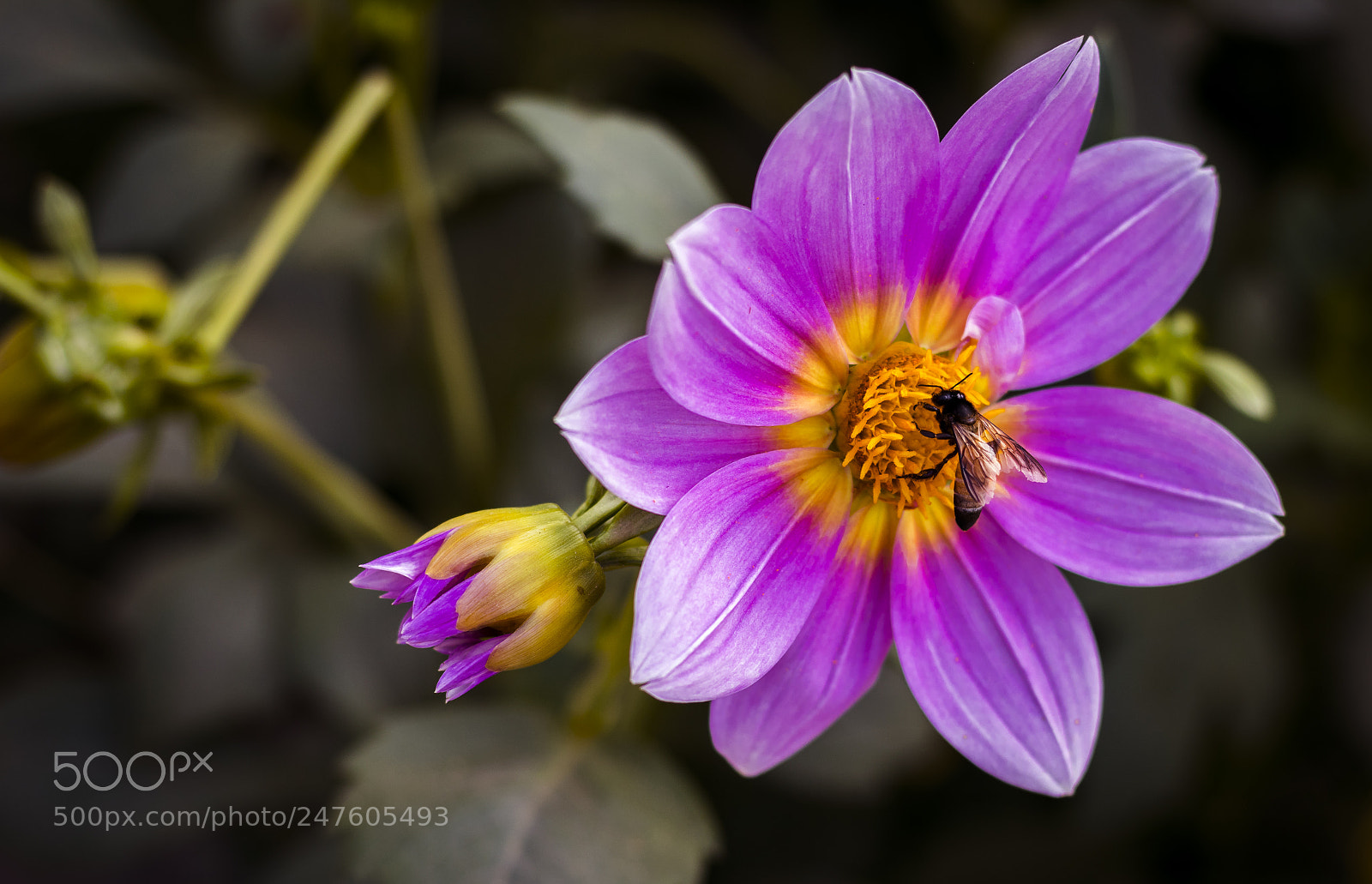 Canon EOS 77D (EOS 9000D / EOS 770D) sample photo. Untitled photography