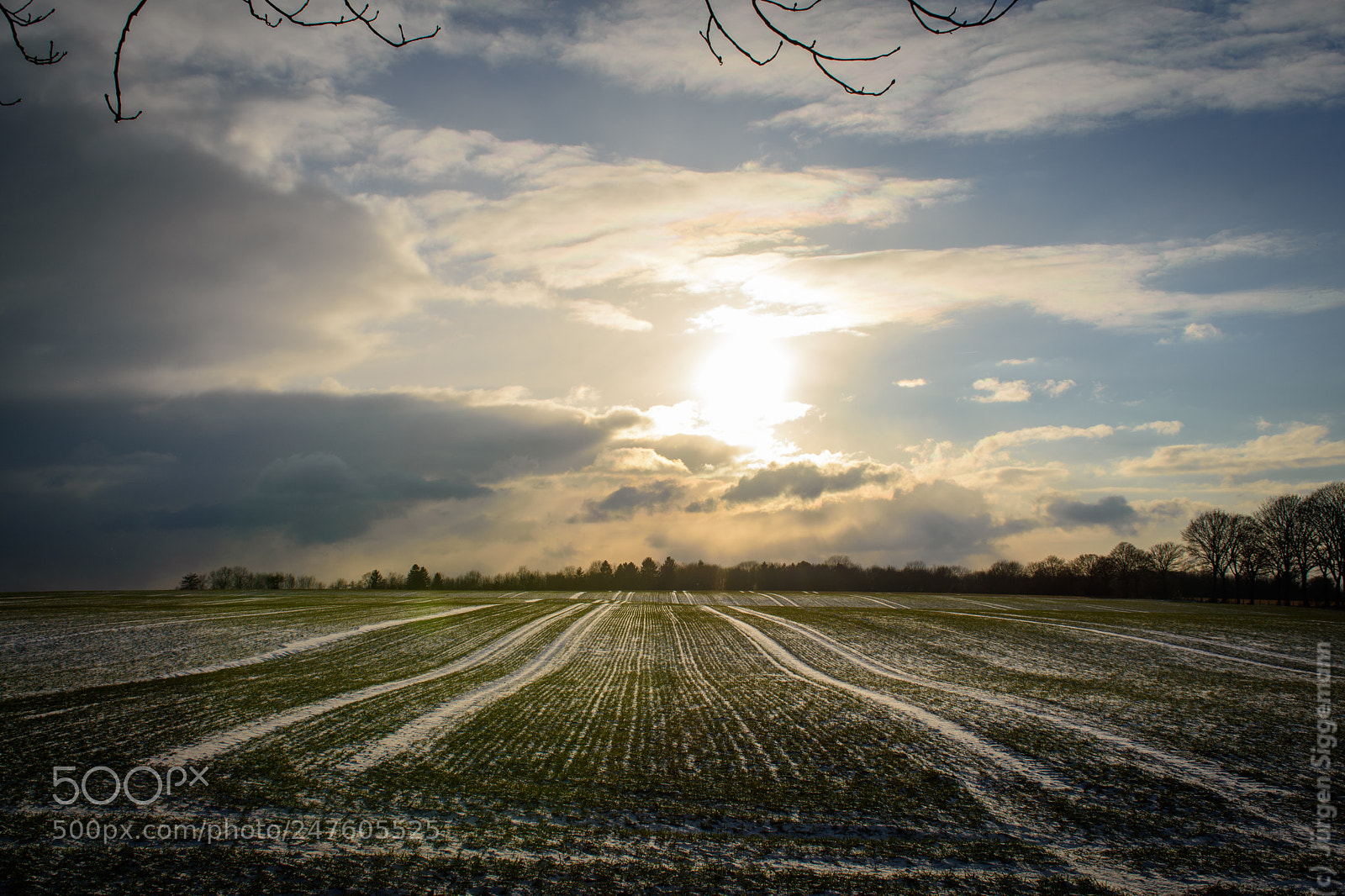 Nikon D7200 sample photo. Snow covered fields photography